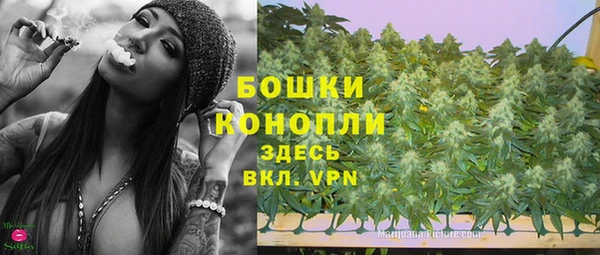 мяу мяу мука Волоколамск