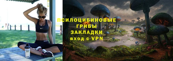 а пвп мука Верхний Тагил